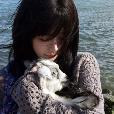 爱情食物链粤语